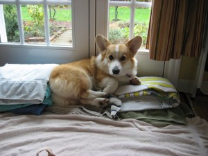 his-back-to-the-wall